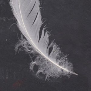 Meet your Posher, Ellie